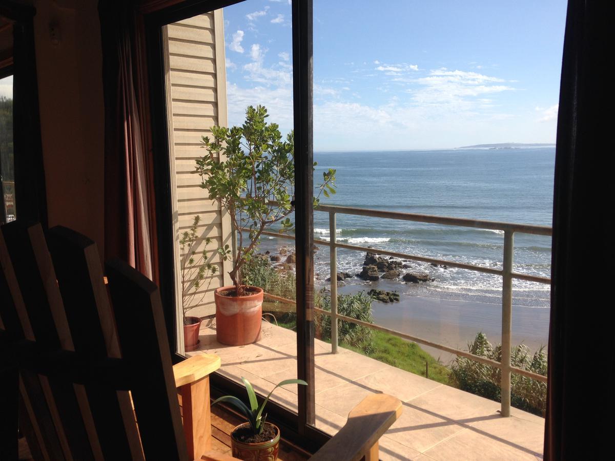 Pinguino En La Roca - Lodge Vina del Mar Exterior photo